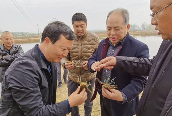 微信图片_20191123101934.jpg