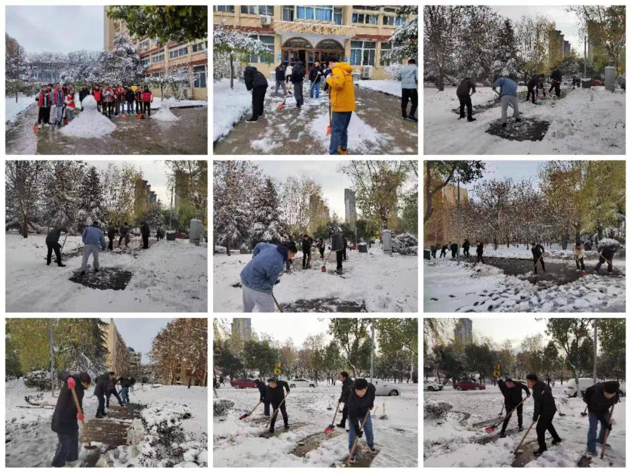 立即行动 清扫积雪 机电学院党委组织党员开展清雪除冰主题党日活动