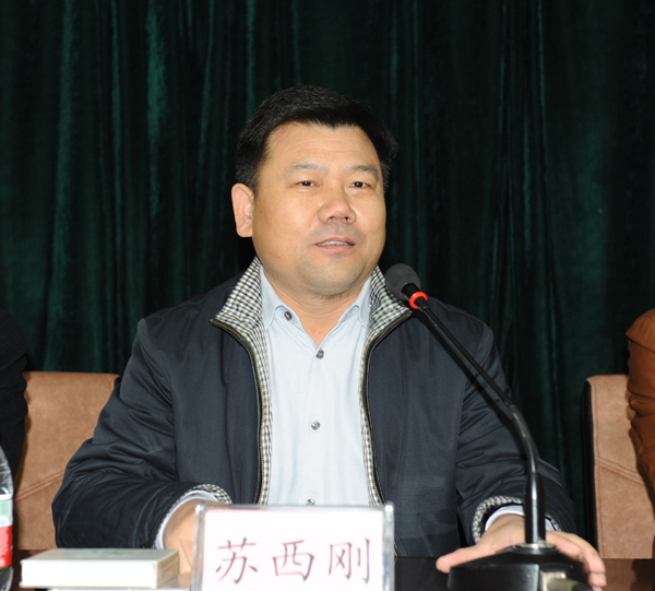 中共郑州市中原区委副书记、郑州中原新区管委会常务副主任苏西刚讲话。杜琛 摄