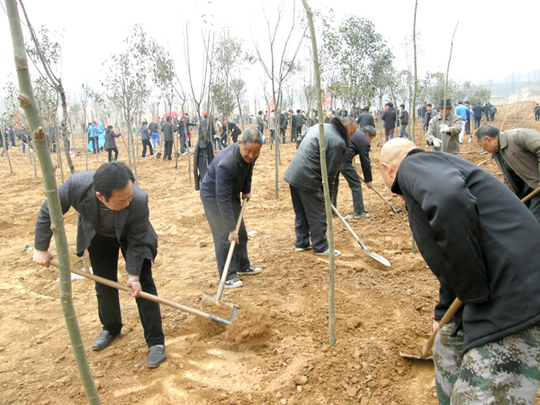 我校参加省直机关义务植树活动