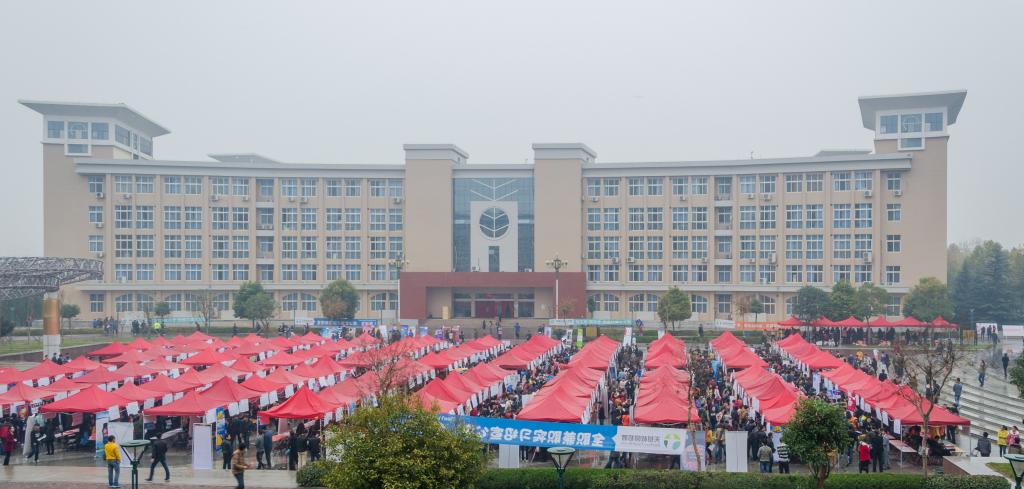 坚持服务为根本，多措并举做好2015届毕业生就业工作